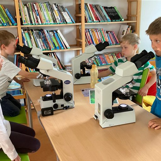 PHOTO-2025-09-12-18-27-20(2)