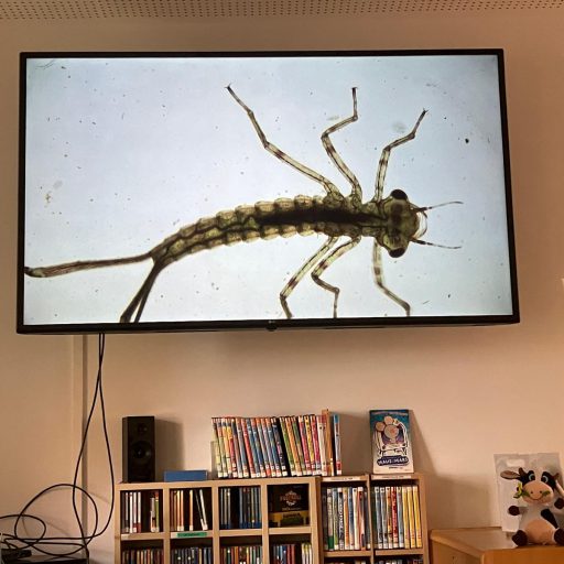 PHOTO-2025-09-12-18-27-20(4)